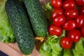 A bunch of ripe juicy fresh tomatoes and cucumbers. Top view, full frame Royalty Free Stock Photo