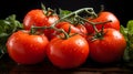 A bunch of ripe juicy red tomatoes on the vine Royalty Free Stock Photo