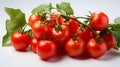 A bunch of ripe juicy red tomatoes on the vine Royalty Free Stock Photo