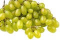 A bunch of ripe large light grapes on a white background isolated Royalty Free Stock Photo