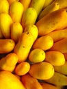 A bunch of ripe papayas at the traditional market Royalty Free Stock Photo