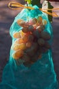 Bunch of ripe pink grapes in a special protective mesh bag Royalty Free Stock Photo