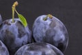 A bunch of ripe plums Royalty Free Stock Photo