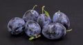 A bunch of ripe plums Royalty Free Stock Photo