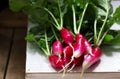 A bunch of ripe radishes with tops on a wooden background