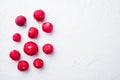 Bunch of ripe radishes, on white background, top view flat lay , with copyspace  and space for text Royalty Free Stock Photo