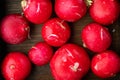 Bunch of ripe radishes, in wooden box, on old dark  wooden table background, top view flat lay Royalty Free Stock Photo