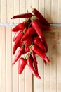 Bunch of ripe red hot chilli peppers hung on a string and left to dry on side of red building block in family house basement Royalty Free Stock Photo