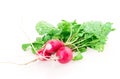 Bunch of ripe red radish Royalty Free Stock Photo