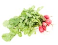 Bunch of ripe red radish Royalty Free Stock Photo