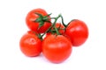 Bunch of ripe red tomato isolated on white background. Close up. Twig. Royalty Free Stock Photo