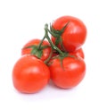 Bunch of ripe red tomato isolated on white background. Five juicy tomatoes. Close up. Twig. Royalty Free Stock Photo