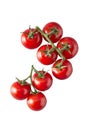 Bunch of ripe red tomatoes on the vine Royalty Free Stock Photo