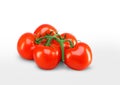 bunch of ripe red tomatoes Royalty Free Stock Photo