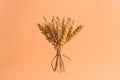 A bunch of ripe wheat ears in the air on a pastel pink background, isolated. Minimal concept Royalty Free Stock Photo