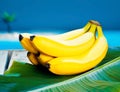 Bunch of ripe yellow bananas Royalty Free Stock Photo