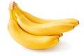 Bunch of ripe yellow bananas isolated on white background Royalty Free Stock Photo