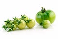 Bunch of Ripe Yellow and Green Tomatoes Isolated Royalty Free Stock Photo