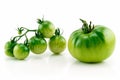 Bunch of Ripe Yellow and Green Tomatoes Isolated