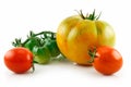 Bunch of Ripe Yellow, Red, Green Tomatoes Isolated Royalty Free Stock Photo