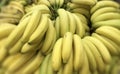 Bunch of Ripened Bananas. Photo image Royalty Free Stock Photo