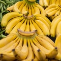 Bunch of ripened bananas at grocery store Royalty Free Stock Photo