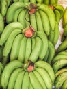 Bunch of ripened organic bananas Royalty Free Stock Photo