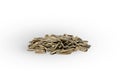 Bunch of roasted sunflower seeds Royalty Free Stock Photo