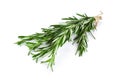 Bunch of rosemary