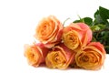 Bunch of roses Royalty Free Stock Photo