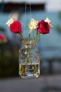 A bunch of roses set in a vase on a table at a wedding reception