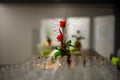 Bunch of roses and several rows of many empty drinking glasses in the restaurant Royalty Free Stock Photo