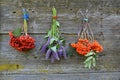 Bunch rowan and viburnum berry and anise hyssop