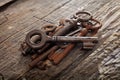 Bunch of rusty old keys Royalty Free Stock Photo