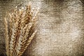 Bunch of rye ears on sacking background Royalty Free Stock Photo