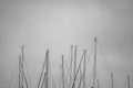 Bunch of sailboat masts on cloudy sky black and white