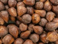 A bunch of salak fruit is brown with prickly skin Royalty Free Stock Photo