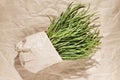 Bunch of salsola soda -agretti -in bag