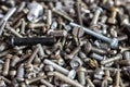 A bunch of screws, different sizes and diameters Royalty Free Stock Photo