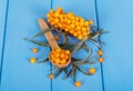 Bunch sea buckthorn berries on wood background painted in blue.