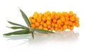 Bunch of sea buckthorn close-up