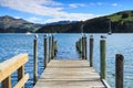 Akaroa, New Zealand. Seagulls roosting on a half sunken pier Royalty Free Stock Photo