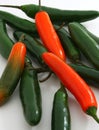 Bunch of serrano peppers, Capsicum annuum Royalty Free Stock Photo