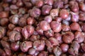 Bunch of Shallots Royalty Free Stock Photo