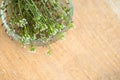 Bunch of shepherds purse, petri dish with cut pieces flowers for preparation of bursa pastoris medicinal herbstincture