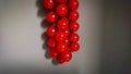 A Bunch Of Small Cherry Tomatoes Against A Gray Wall Background. Stylized Photo Under The Oil Painting In Selective Focus Royalty Free Stock Photo