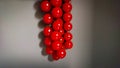 A Bunch Of Small Cherry Tomatoes Against A Gray Wall Background. Stylized Photo Under The Oil Painting In Selective Focus Royalty Free Stock Photo