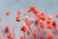 Bunch of Small Red Delicate Flowers Single Heart Shape Sugar Candy on Dark Grey Background. Romantic Valentine Mother`s Day Royalty Free Stock Photo