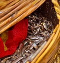 A bunch of small tiny pond fishes in the wooden box.