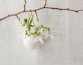 Bunch of snowdrops in egg shell Royalty Free Stock Photo